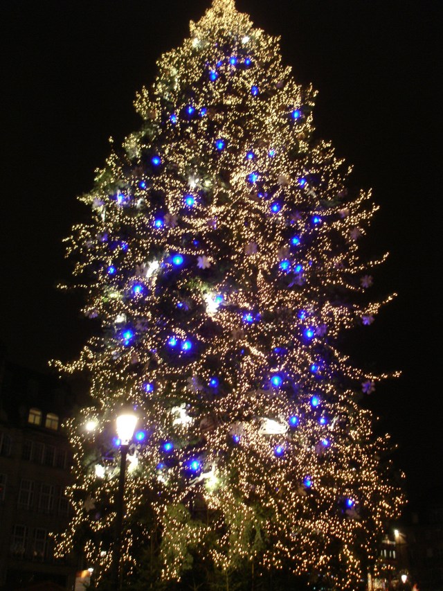 Le sapin de la place Kléber en 2011 Photo Ariane Albecker