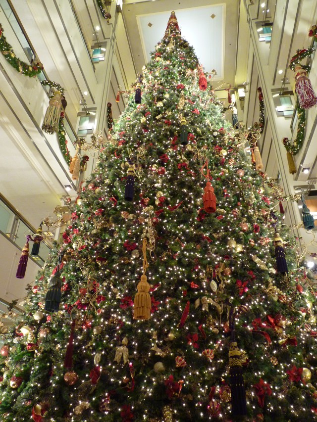 Gros sapin, mall, Chicago, 2010