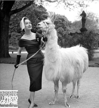 Nadine et le lama