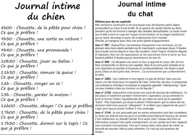 journal-du-chat_n