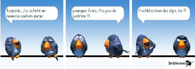 Crédits Birddessines