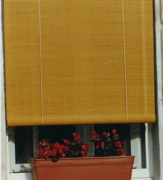 Admirez la munificence de l'objet - les plantes ne sont pas à moi, je les fais toutes crever.